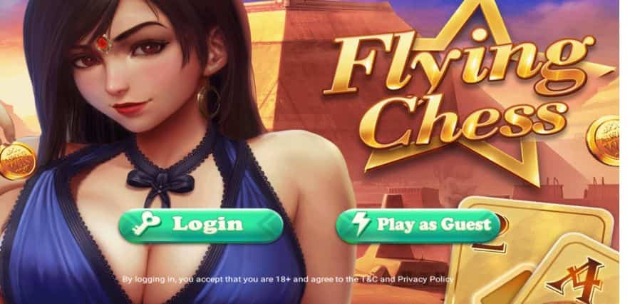 Flying Chess Game